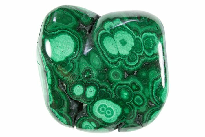 Polished Banded Malachite Specimen - DR Congo #305216